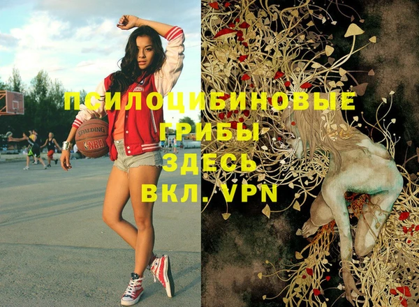 амф Верея